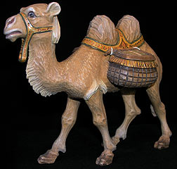 Kamel